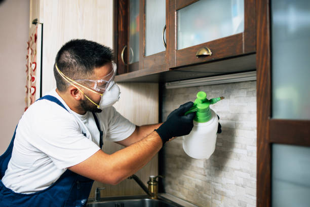 Best Wasp Removal Services  in Red Hill, SC