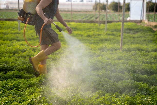 Best Local Pest Control Services  in Red Hill, SC