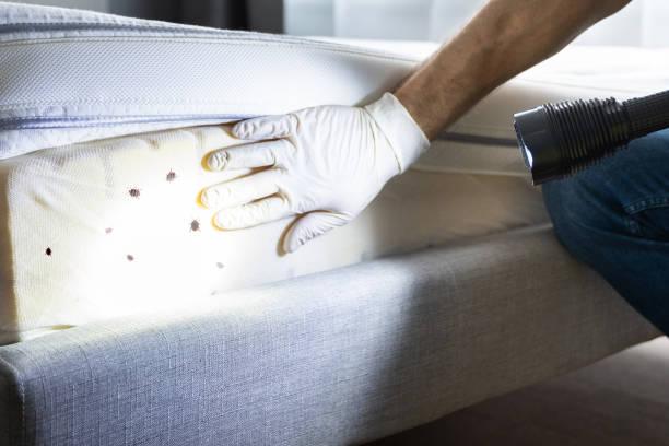 Best Residential Pest Control  in Red Hill, SC
